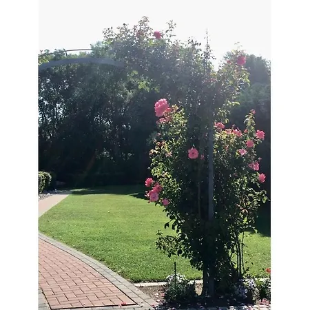 Tatil Evi Sea View Comfortable