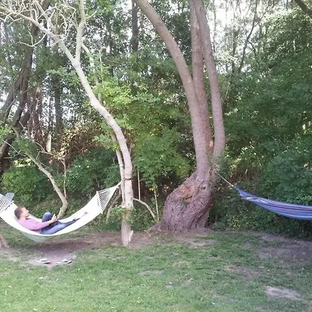 Sea View Comfortable *